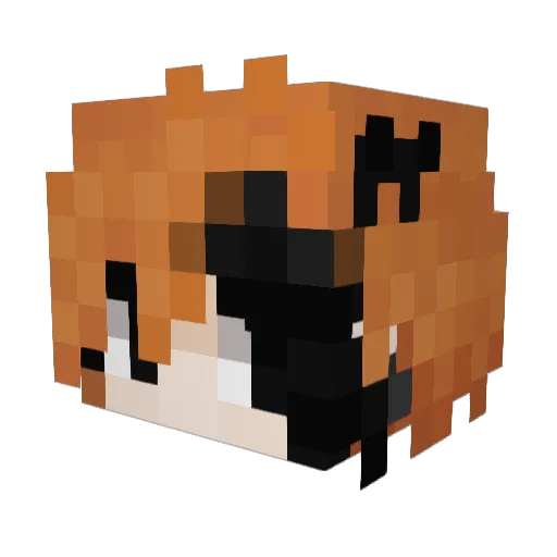 R0llsR0ys Minecraft avatar head, 3D render