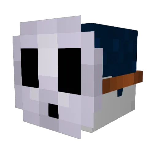 R0mRaisin Minecraft avatar head, 3D render