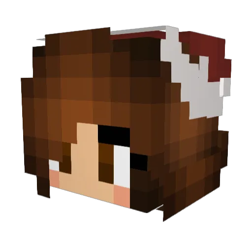 R0myy_ Minecraft avatar head, 3D render