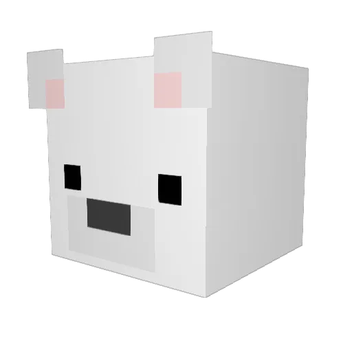 R0neen Minecraft avatar head, 3D render