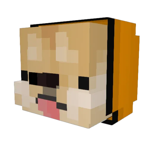 R0nez Minecraft avatar head, 3D render