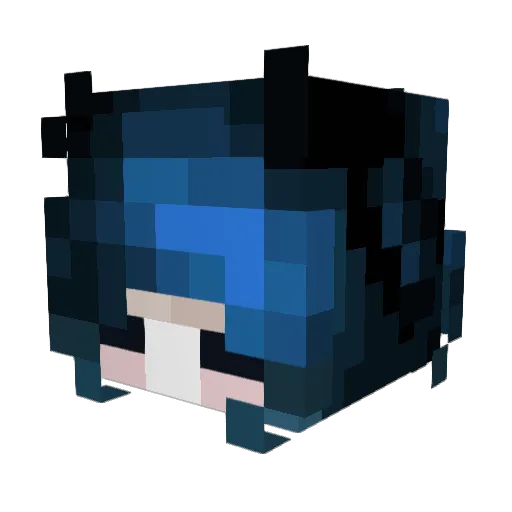 R0tten_Cl0wns Minecraft avatar head, 3D render