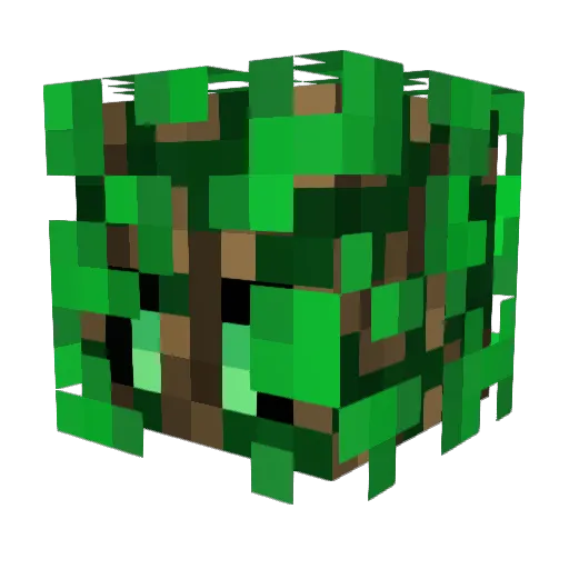R0wD0e Minecraft avatar head, 3D render