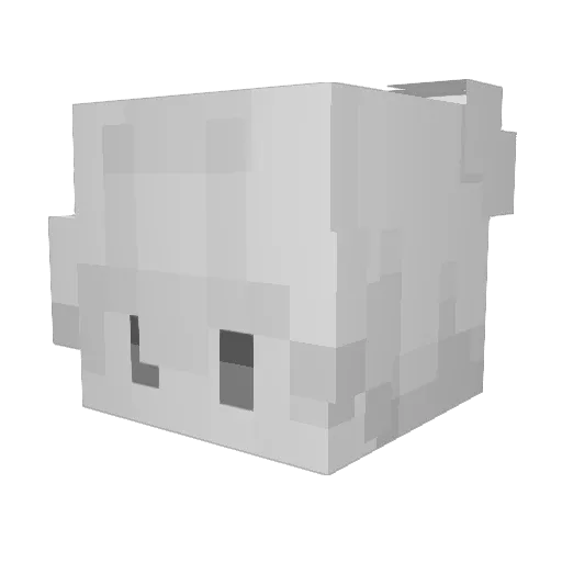 R0wi Minecraft avatar head, 3D render