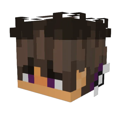 R1Cryptic Minecraft avatar head, 3D render