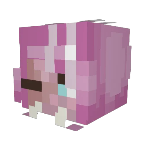 R1Psys Minecraft avatar head, 3D render