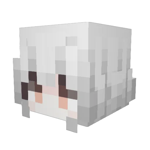 Minecraft-Avatar von R1carl0: Kopf als 3D-Render
