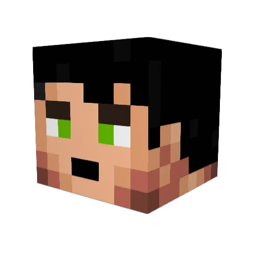 R1chie_ Minecraft avatar head, 3D render