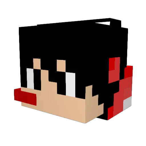 R1cky_Tub3 Minecraft avatar head, 3D render