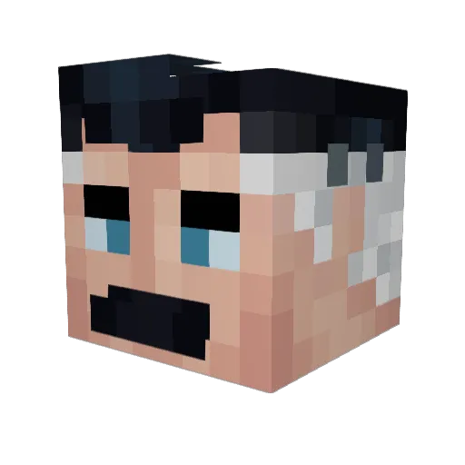 R1ffle Minecraft avatar head, 3D render