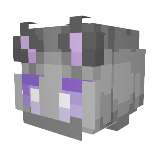 R1fter_ Minecraft avatar head, 3D render