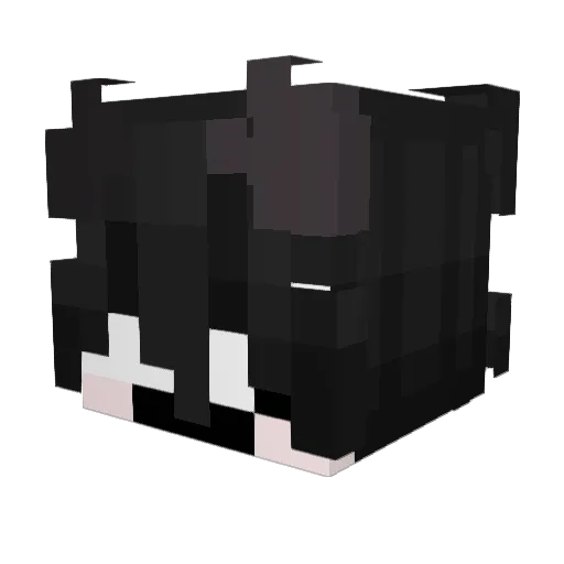 R1iy_2z Minecraft avatar head, 3D render