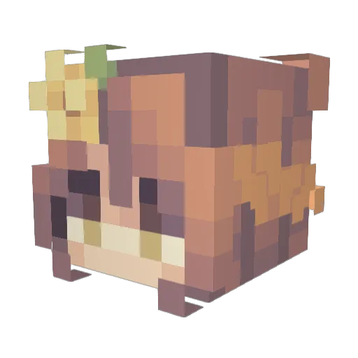R1sible Minecraft avatar head, 3D render