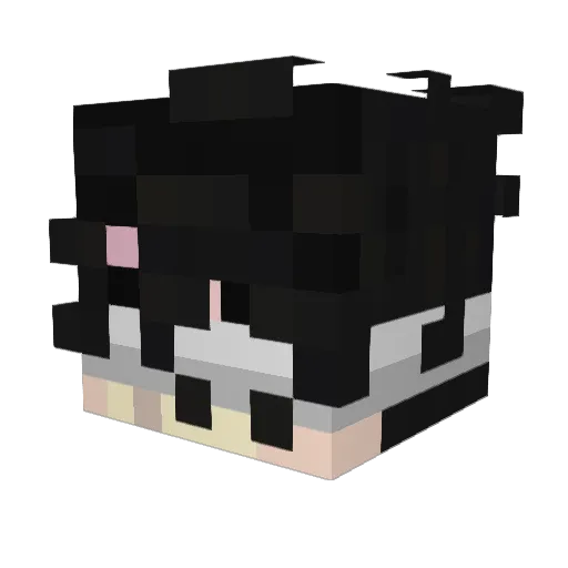 R1tanium Minecraft avatar head, 3D render