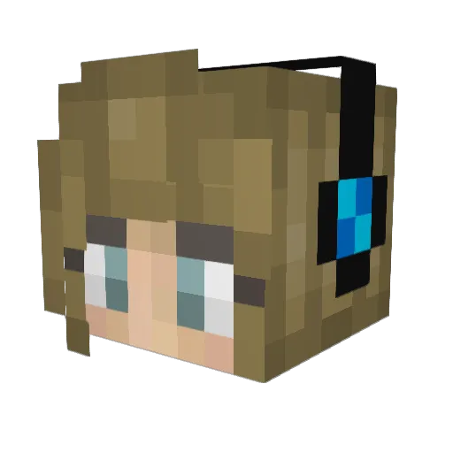 R2D2_Ray Minecraft avatar head, 3D render