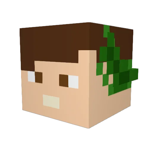R2G4Y2 Minecraft avatar head, 3D render