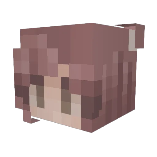 R2ham Minecraft avatar head, 3D render