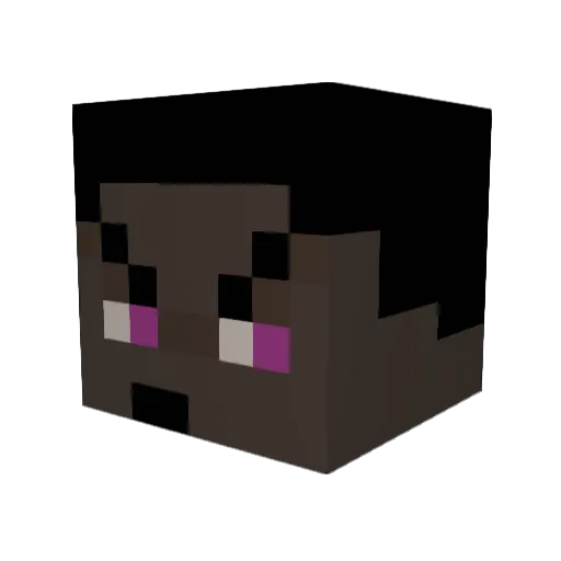 R3CONCH4TUMAR33 Minecraft avatar head, 3D render