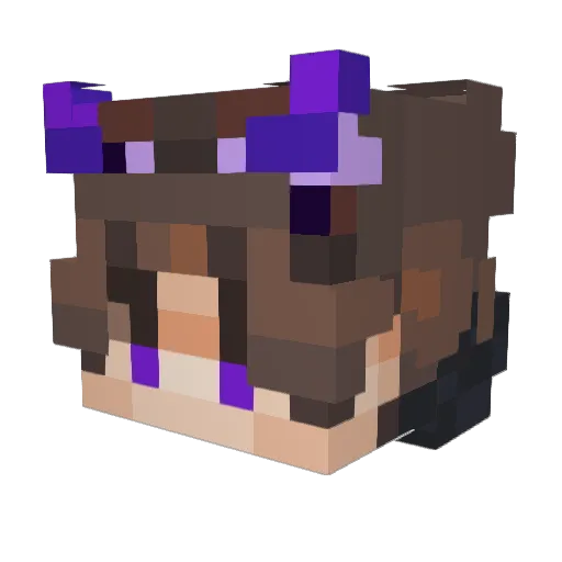 R3D1NY1 Minecraft avatar head, 3D render