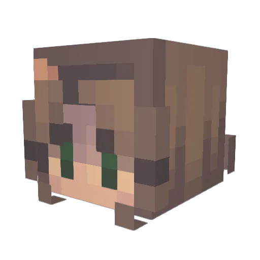 R3DPANDA1245 Minecraft avatar head, 3D render