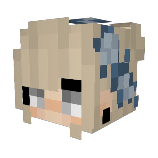 R3DROBIN Minecraft avatar head, 3D render