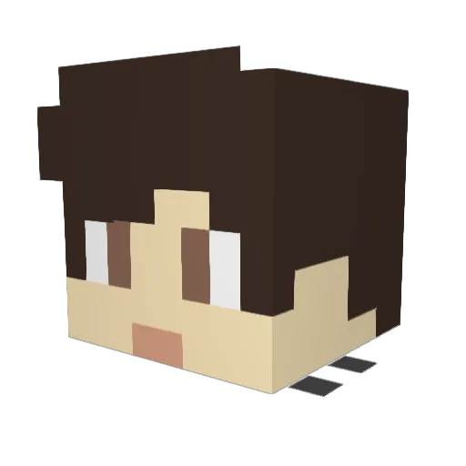 R3D_RA1N Minecraft avatar head, 3D render