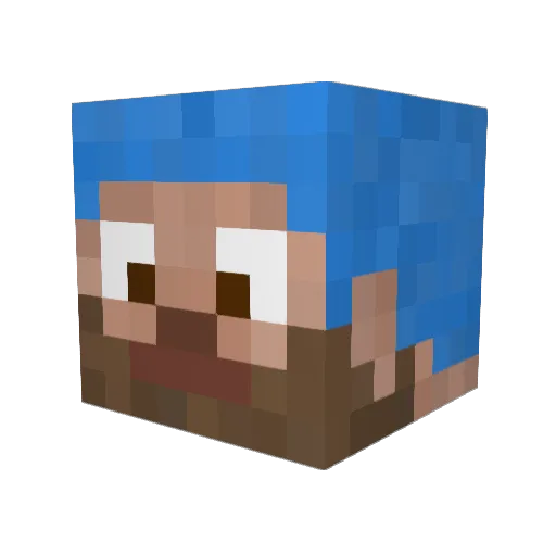 R3IN3K3 Minecraft avatar head, 3D render