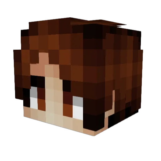 R3IVILO1313 Minecraft avatar head, 3D render