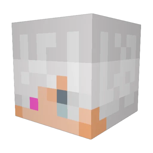 R3KNWN Minecraft avatar head, 3D render