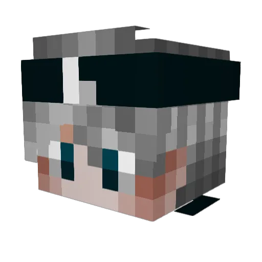 R3KTPOWER Minecraft avatar head, 3D render
