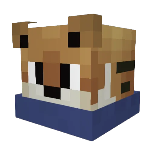 R3M0V3 Minecraft avatar head, 3D render