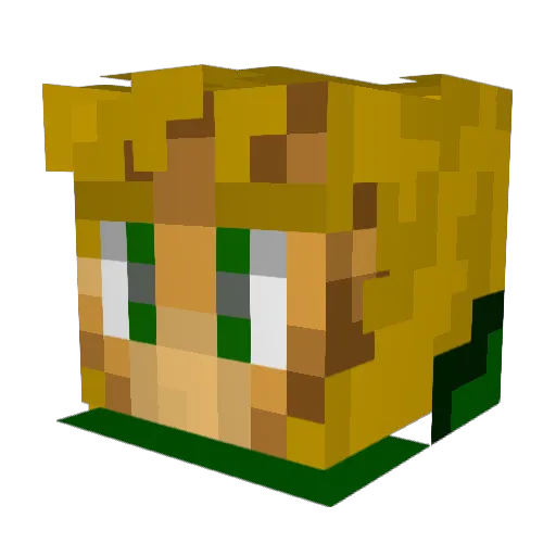 R3M1NGTON Minecraft avatar head, 3D render