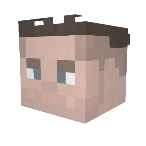 R3N091 Minecraft avatar head, 3D render
