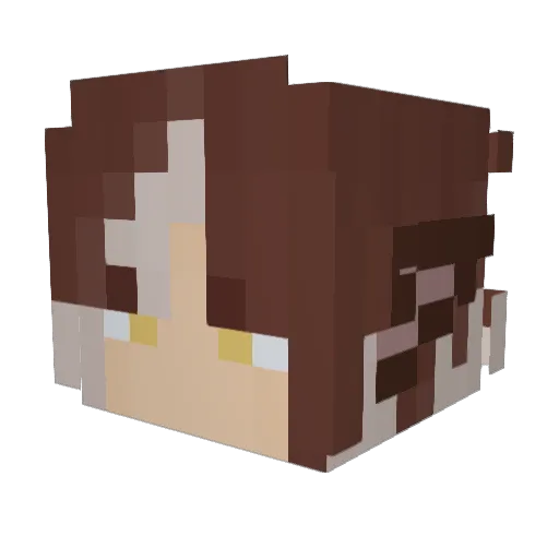 R3TR0KN1GHT Minecraft avatar head, 3D render