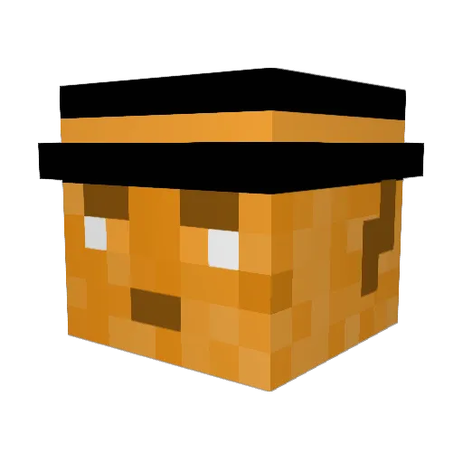 R3belRhin0 Minecraft avatar head, 3D render