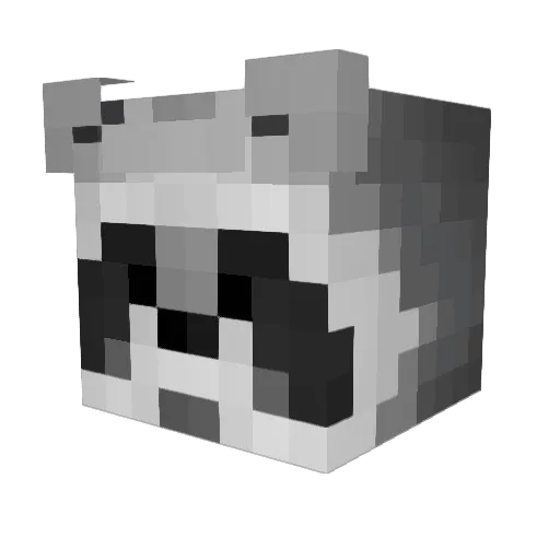 R3dRac00ns Minecraft avatar head, 3D render