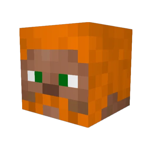 R3dW1zard Minecraft avatar head, 3D render