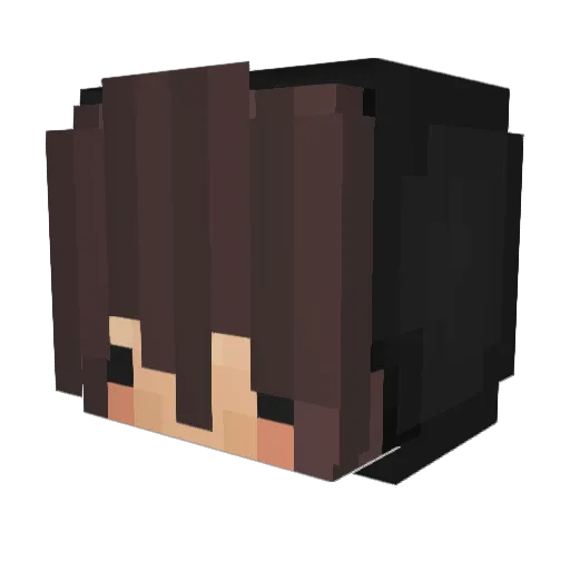R3fleXi0nJr Minecraft avatar head, 3D render