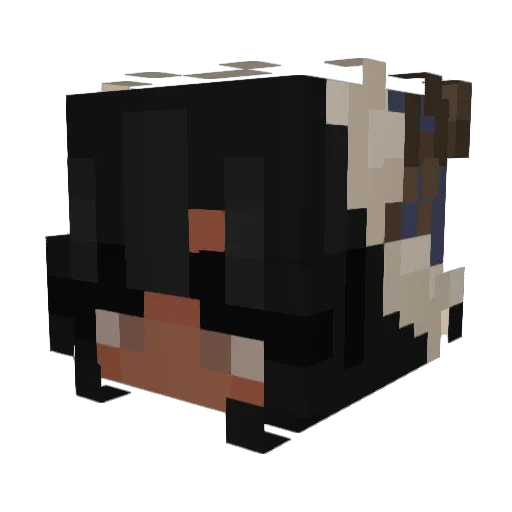 R3giina Minecraft avatar head, 3D render