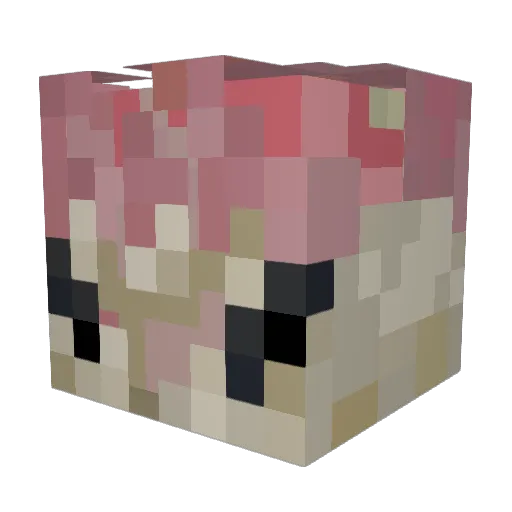 R3levance Minecraft avatar head, 3D render