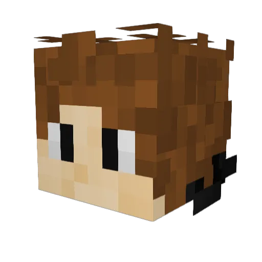 R3nzo4KT Minecraft avatar head, 3D render