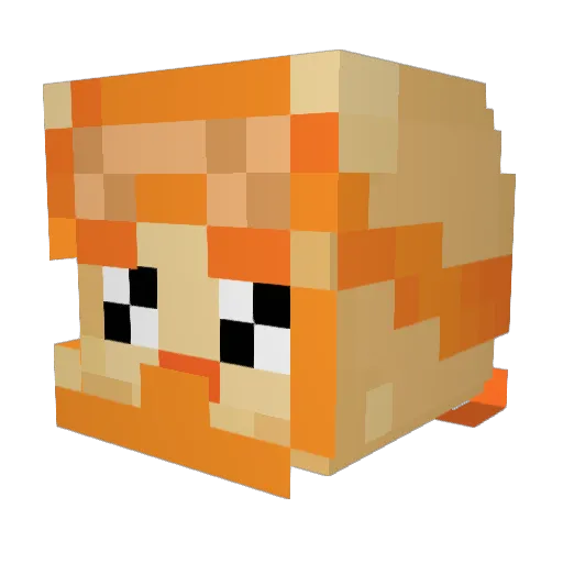 R3sistant Minecraft avatar head, 3D render