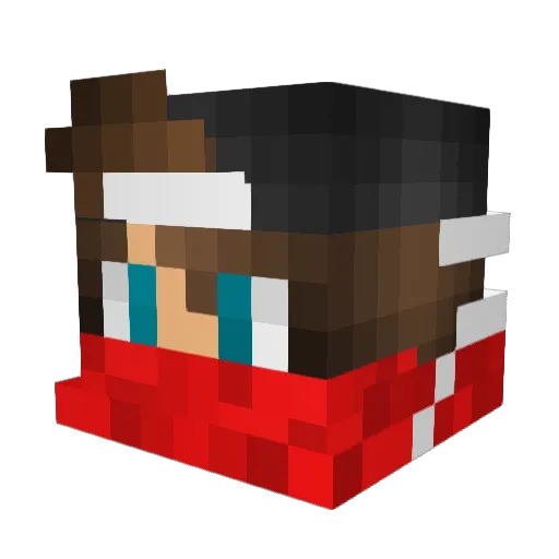 R3tsnom Minecraft avatar head, 3D render