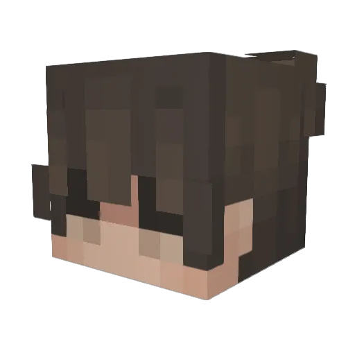 R41NYD4YY Minecraft avatar head, 3D render