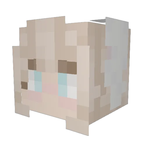 R47I Minecraft avatar head, 3D render