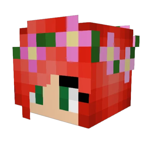 R4D20 Minecraft avatar head, 3D render