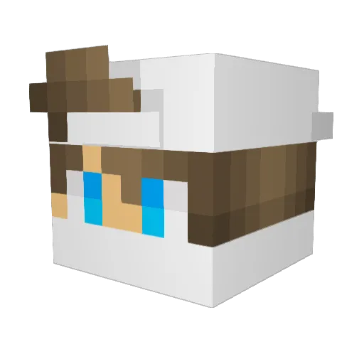R4Darkzn Minecraft avatar head, 3D render