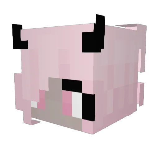 R4G3QUIT Minecraft avatar head, 3D render