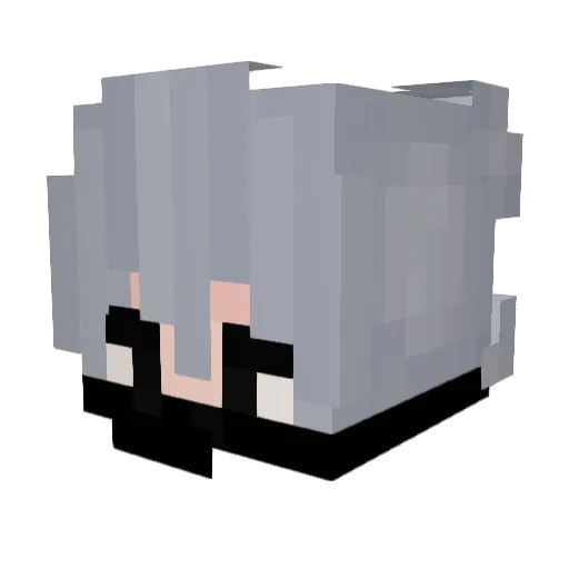 R4G3R1 Minecraft avatar head, 3D render
