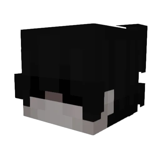 R4IDERMC Minecraft avatar head, 3D render